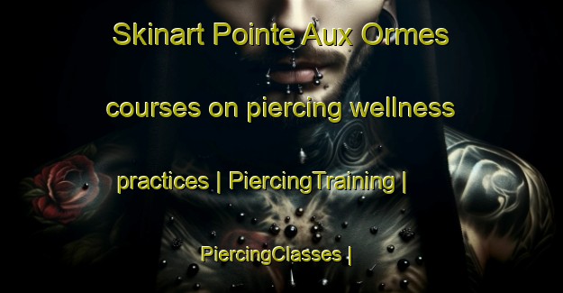 Skinart Pointe Aux Ormes courses on piercing wellness practices | PiercingTraining | PiercingClasses | SkinartTraining-Canada